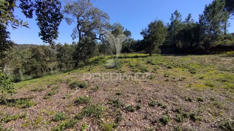 Terreno para Venda em Santa Margarida da Coutada Foto 18