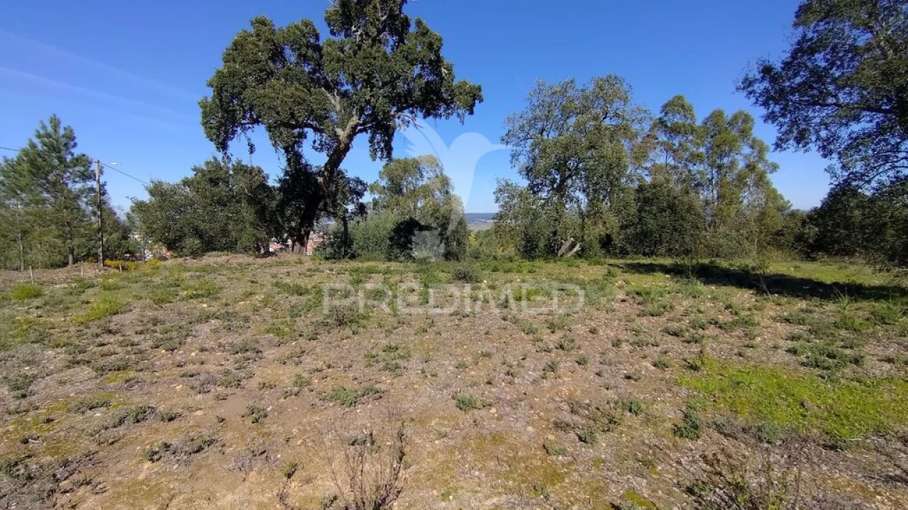 Terreno para Venda em Santa Margarida da Coutada Foto 2