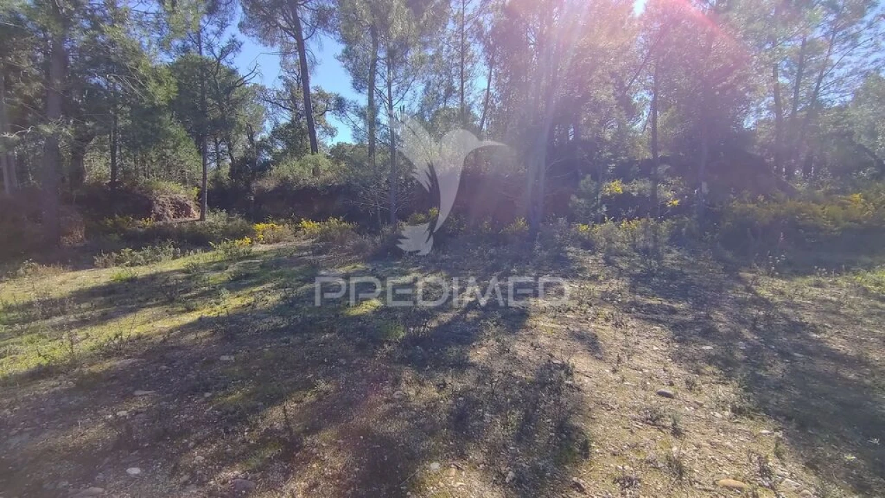 Terreno para Venda em Santa Margarida da Coutada Foto 2