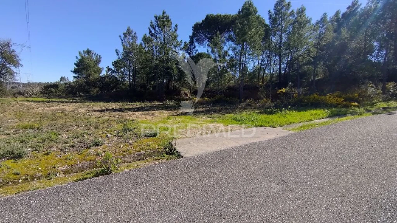 Terreno para Venda em Santa Margarida da Coutada Foto 12