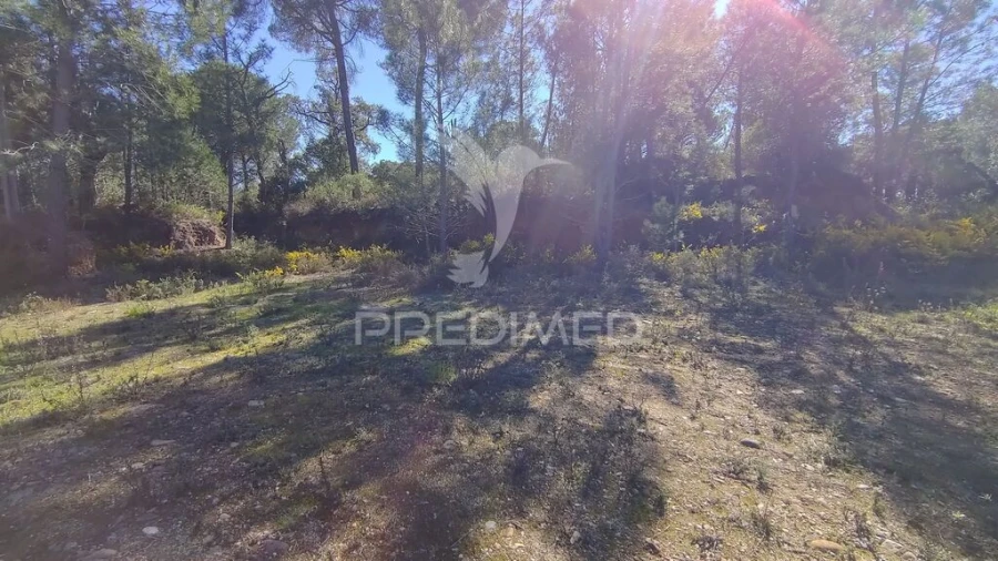 Terreno para Venda em Santa Margarida da Coutada Foto 2