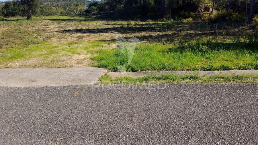 Terreno para Venda em Santa Margarida da Coutada