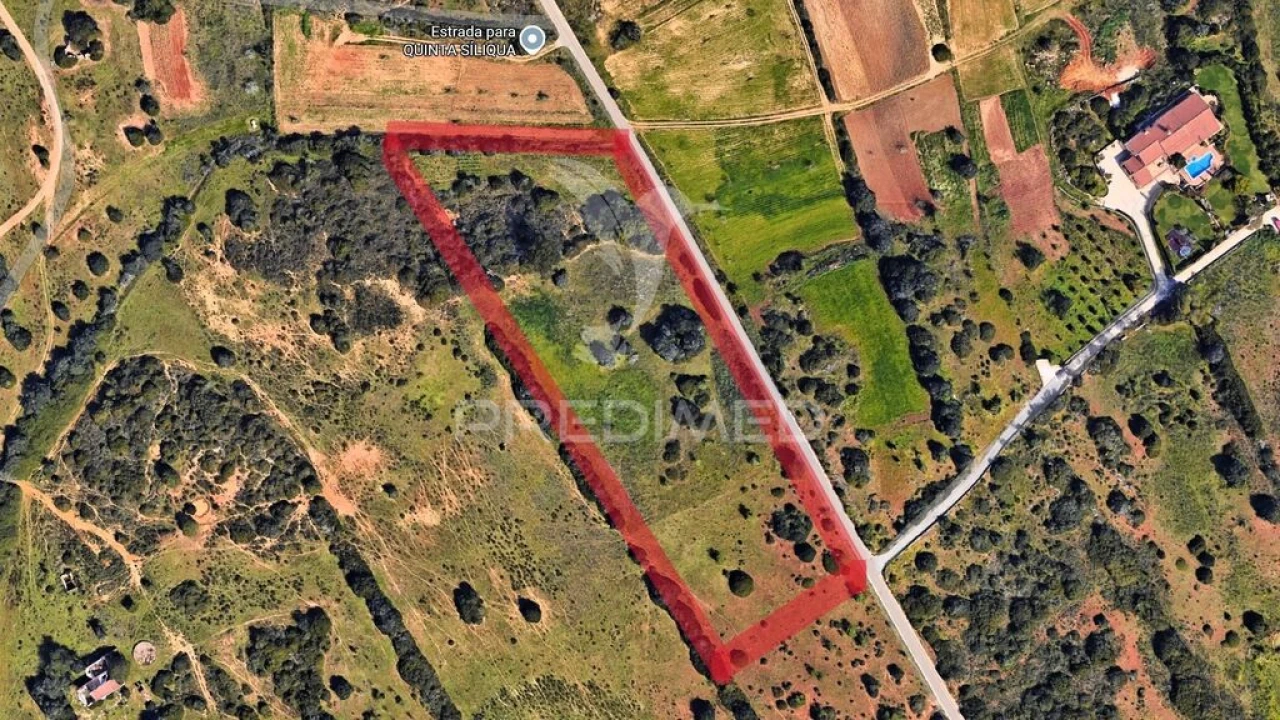 Terreno para Venda em Luz Foto 4