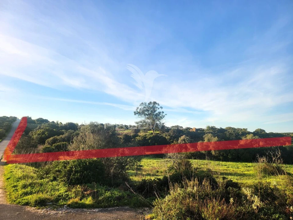 Terreno para Venda em Luz Foto 7
