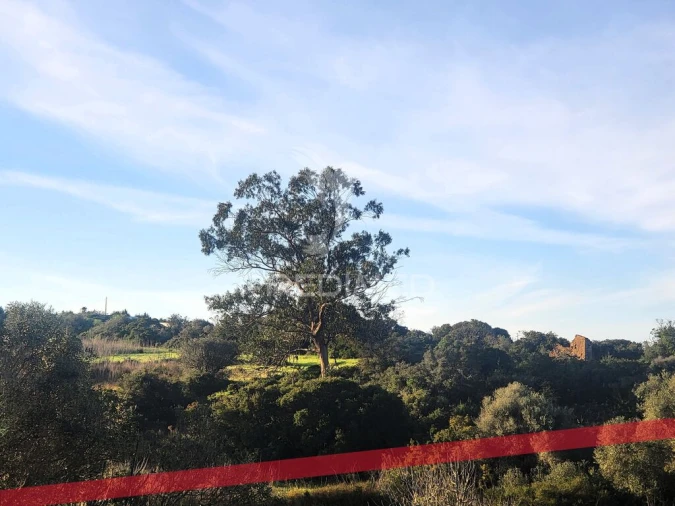 Terreno para Venda em Luz