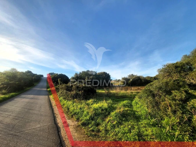 Terreno para Venda em Luz Foto 10