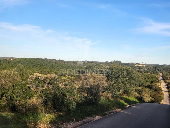 Terreno para Venda em Luz Foto 5