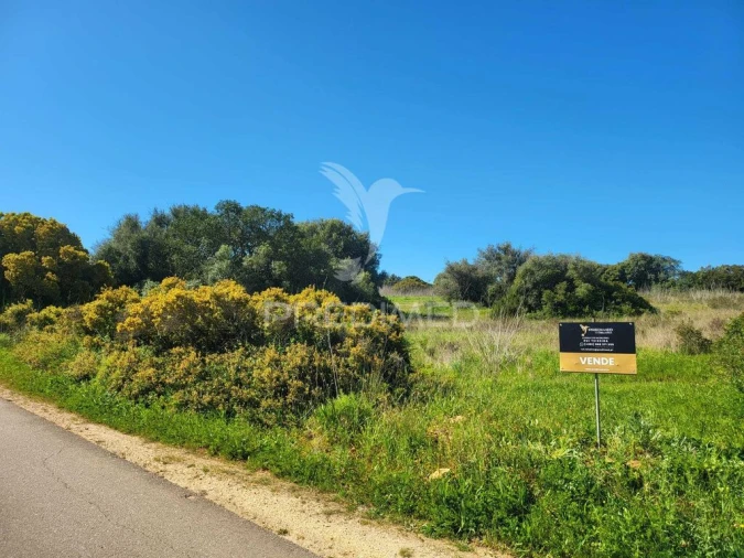 Terreno para Venda em Luz Foto 2