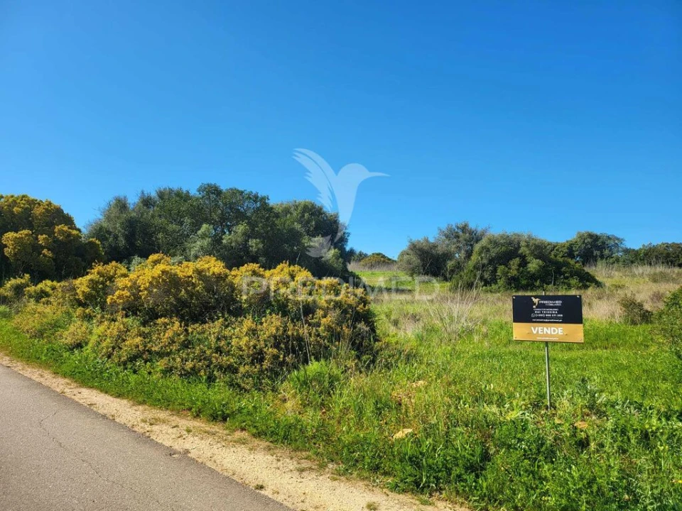 Terreno para Venda em Luz Foto 2
