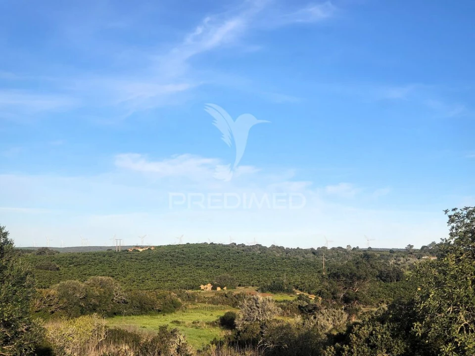 Terreno para Venda em Luz Foto 11