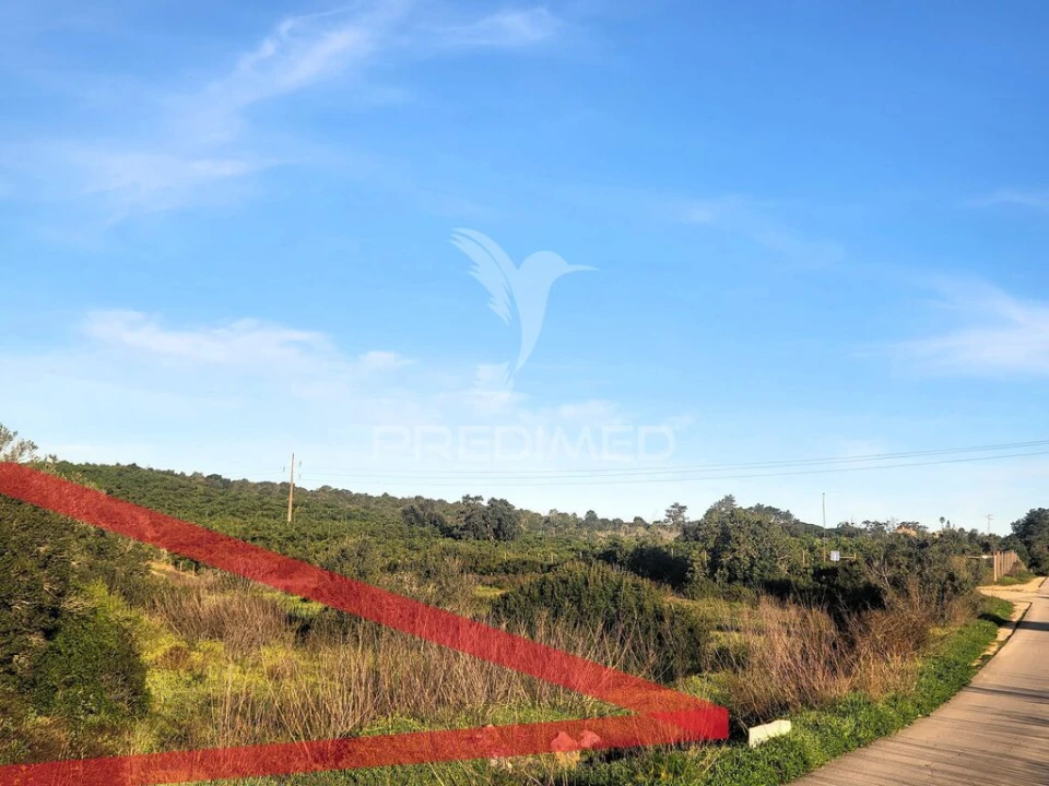 Terreno para Venda em Luz Foto 9