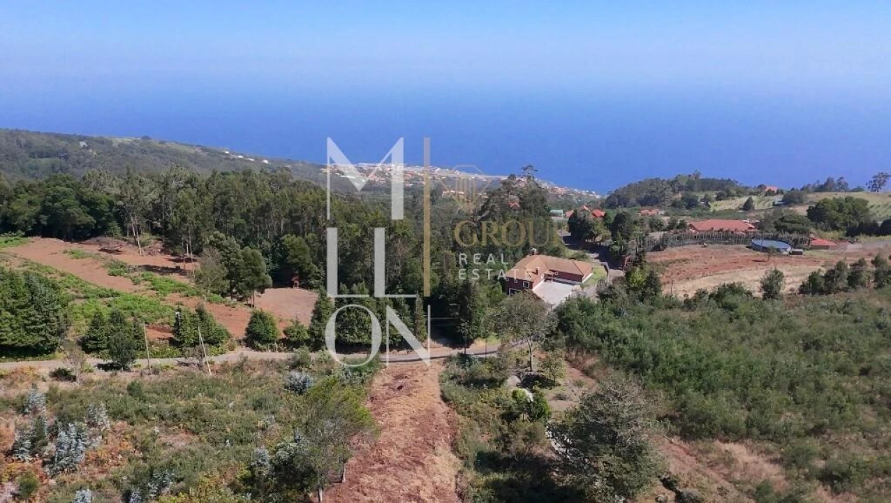 Terreno para Venda em Santa Cruz Foto 7