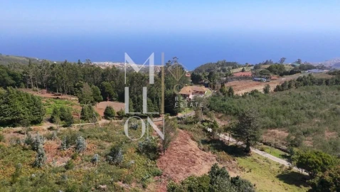 Terreno para Venda em Santa Cruz