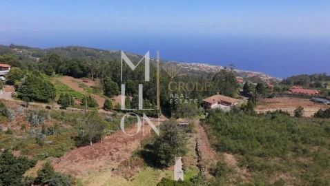Terreno para Venda em Santa Cruz
