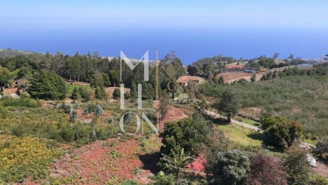 Terreno para Venda em Santa Cruz