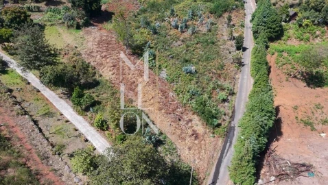 Terreno para Venda em Santa Cruz
