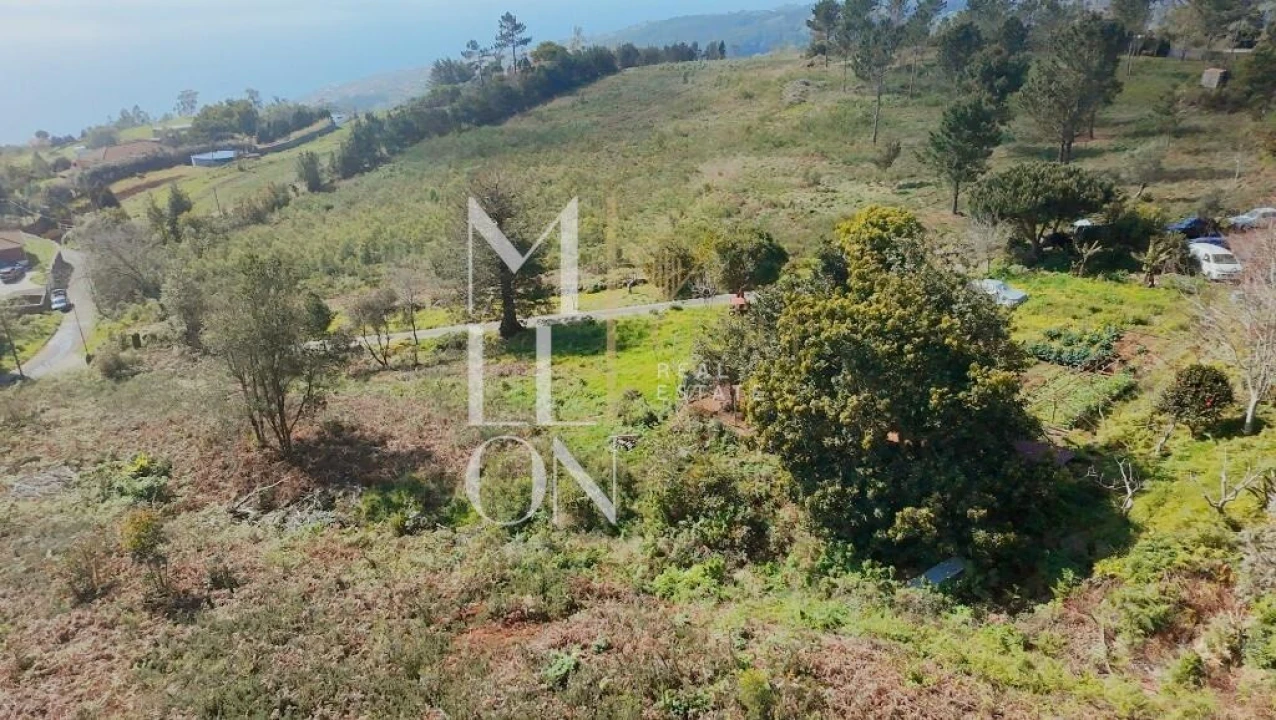 Terreno para Venda em Santa Cruz Foto 5