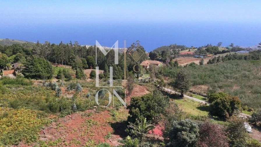 Terreno para Venda em Santa Cruz Foto 12