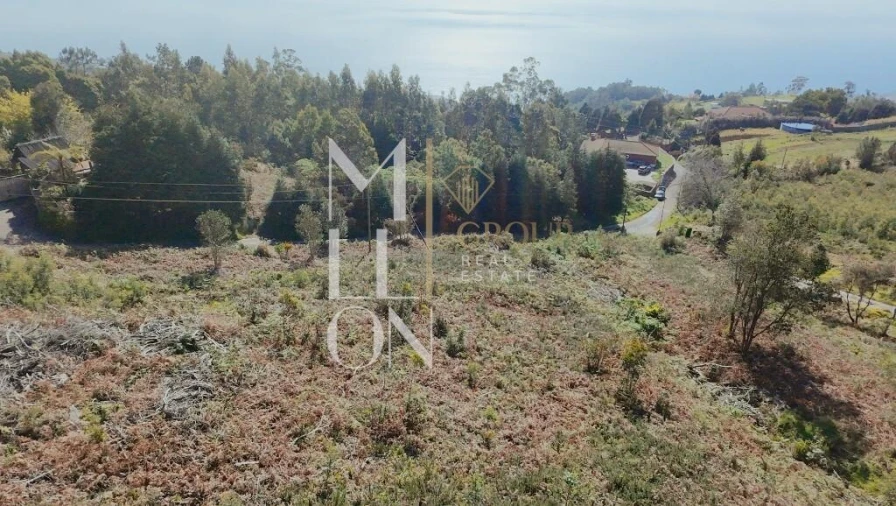 Terreno para Venda em Santa Cruz Foto 4