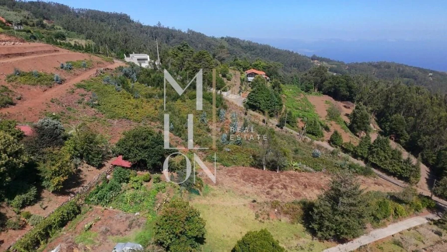 Terreno para Venda em Santa Cruz Foto 10