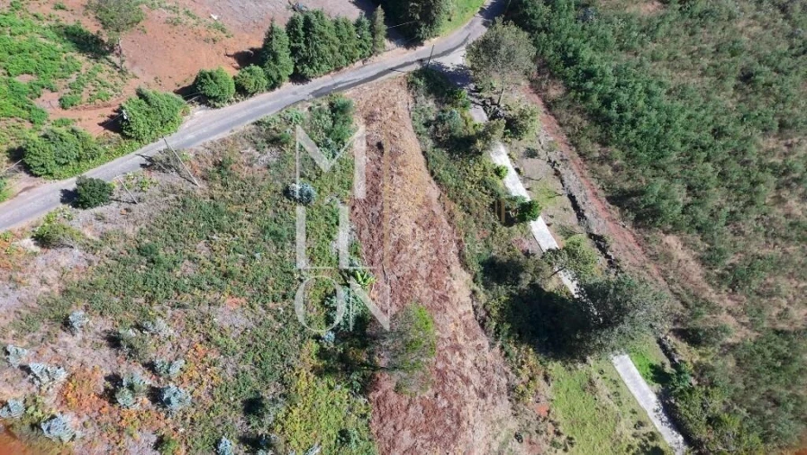 Terreno para Venda em Santa Cruz Foto 8