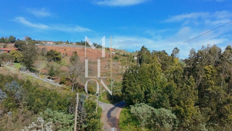 Terreno para Venda em Santa Cruz Foto 8