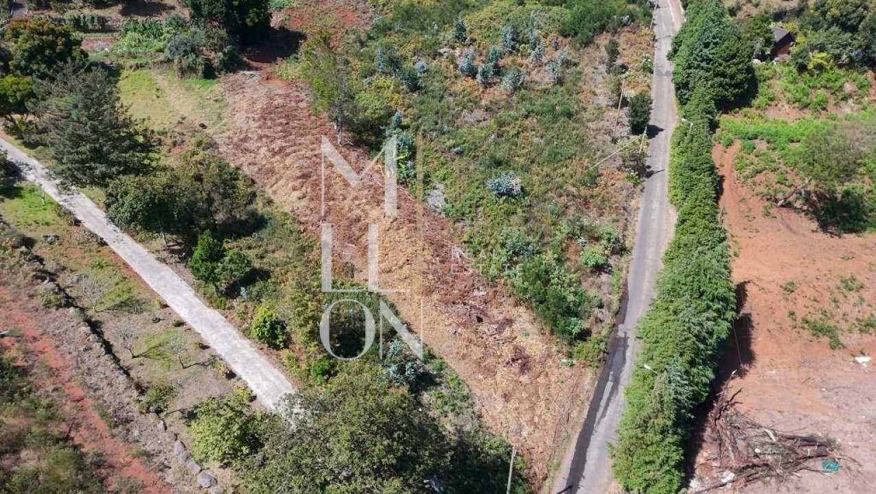 Terreno para Venda em Santa Cruz Foto 2