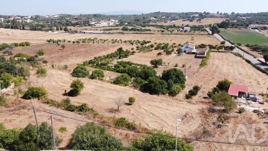 Terreno para Venda em Lagos (São Sebastião e Santa Maria) Foto 3