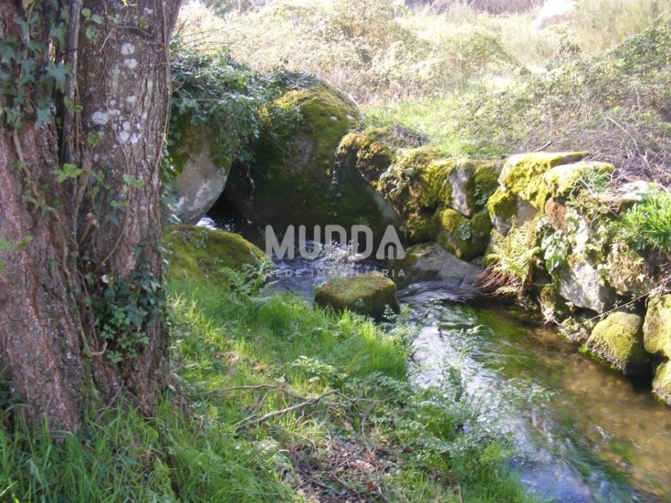 Terreno para Venda em Rio Torto e Lagarinhos Foto 13