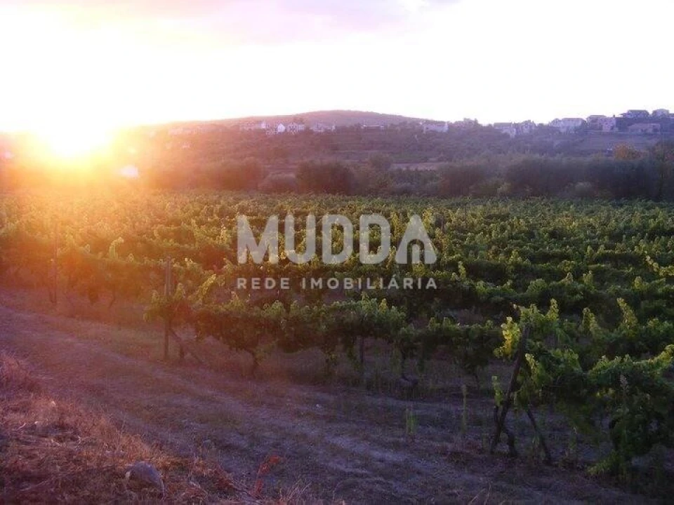 Terreno para Venda em Rio Torto e Lagarinhos Foto 10