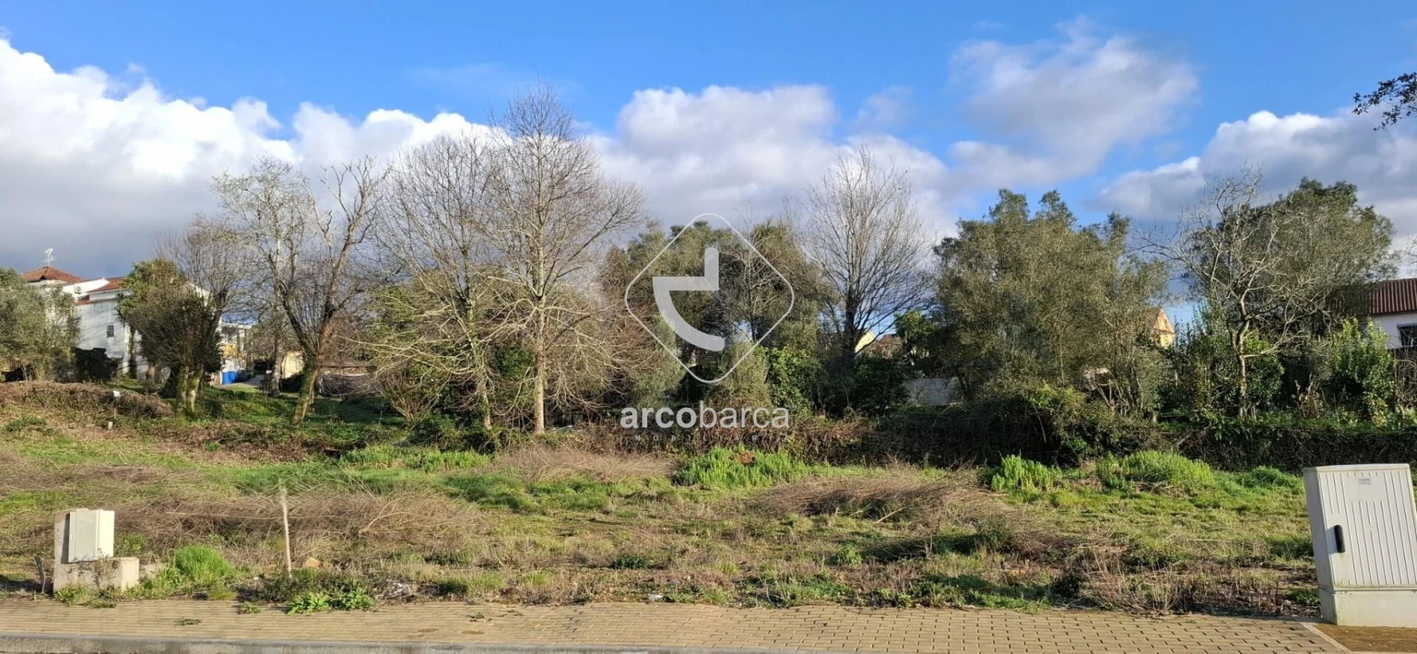 Terreno para Venda em Fornelos e Queijada Foto 5