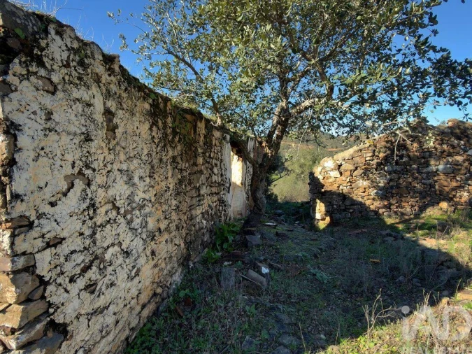 Terreno para Venda em São Bartolomeu de Messines Foto 21