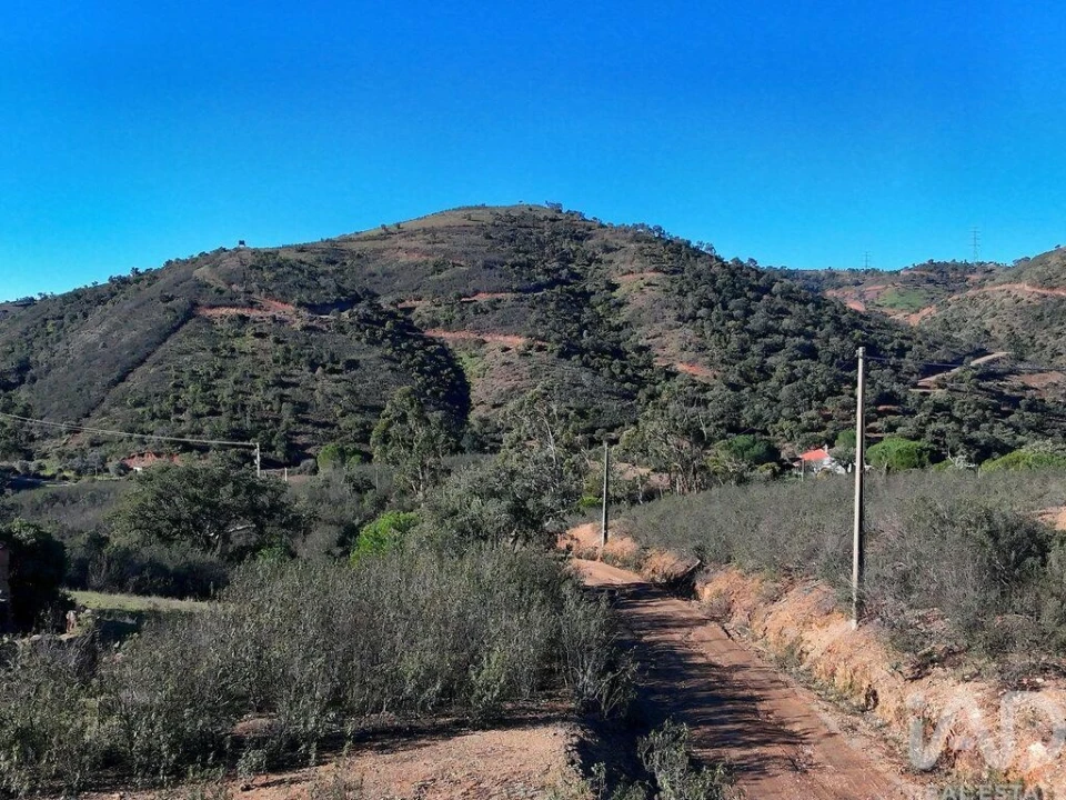 Terreno para Venda em São Bartolomeu de Messines Foto 15