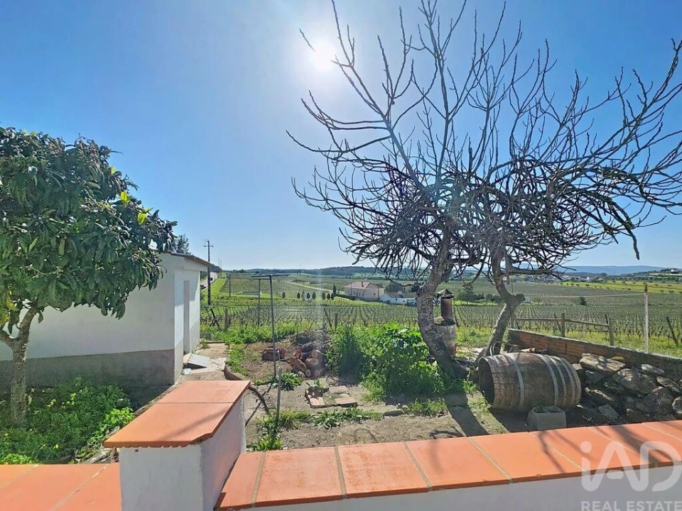 Moradia T1 para Venda em São Bento do Cortiço e Santo Estêvão Foto 21