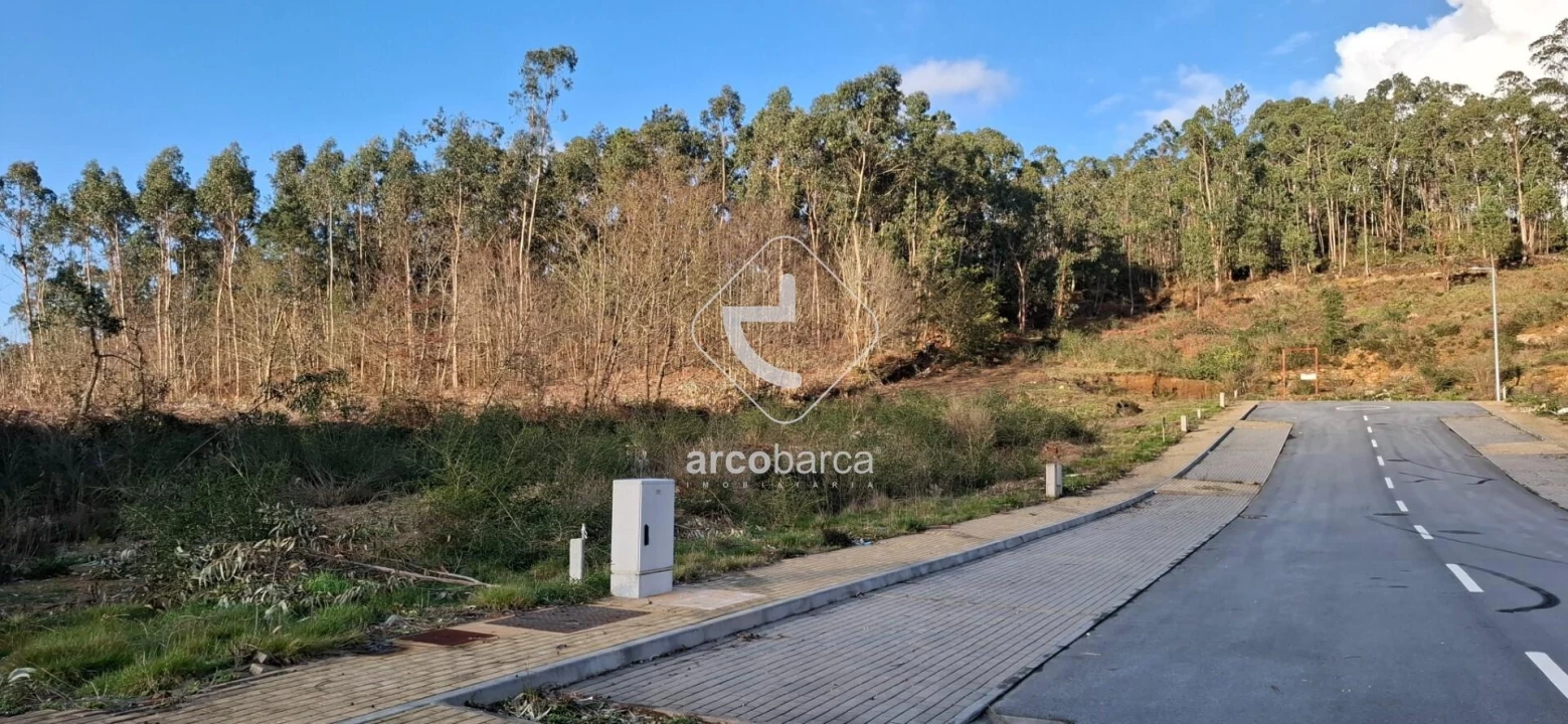 Terreno para Venda em Fornelos e Queijada Foto 7