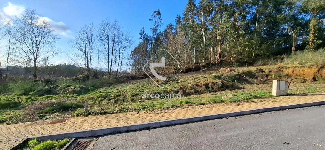 Terreno para Venda em Fornelos e Queijada Foto 4