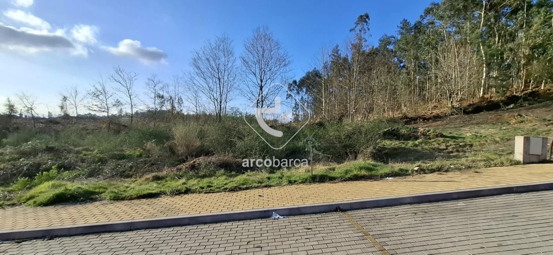 Terreno para Venda em Fornelos e Queijada Foto 5