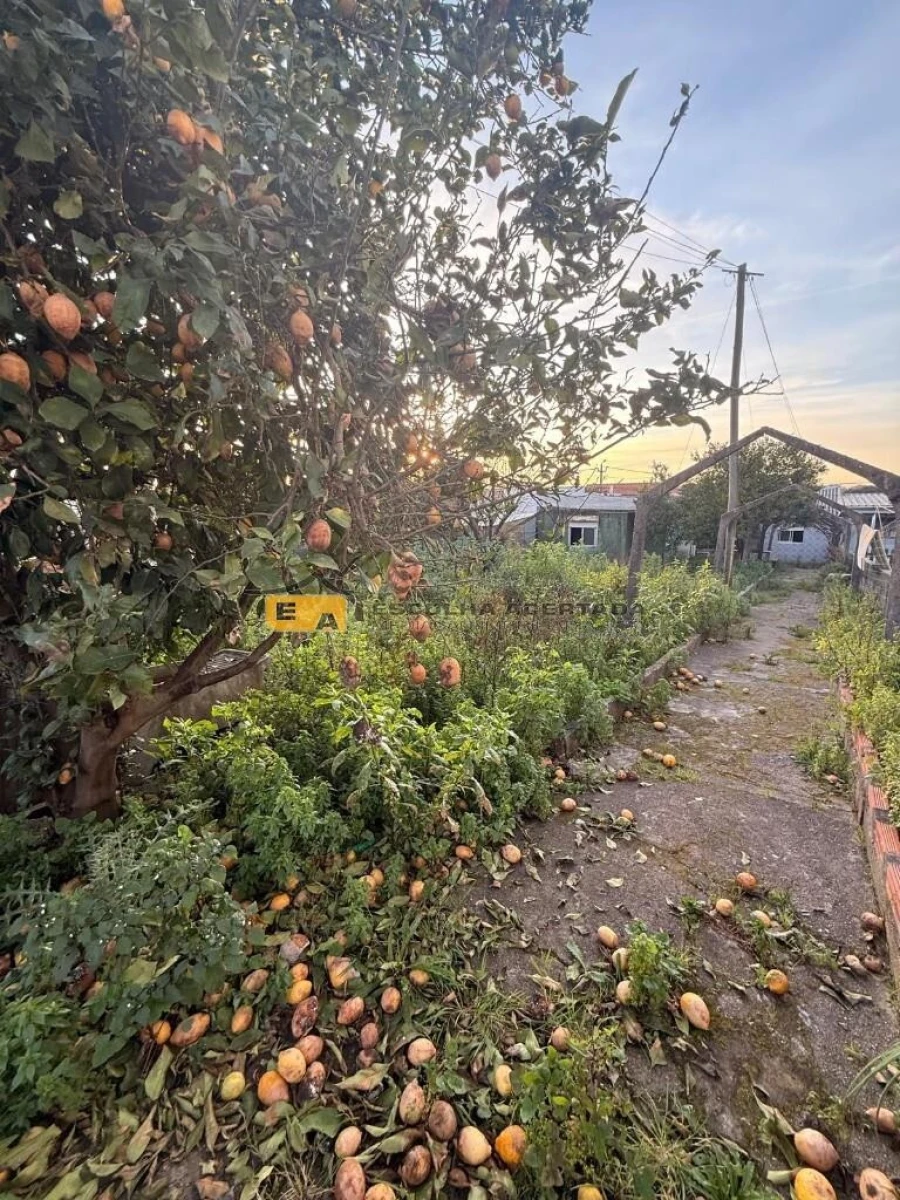 Terreno para Venda em Custóias, Leça do Balio e Guifões Foto 6