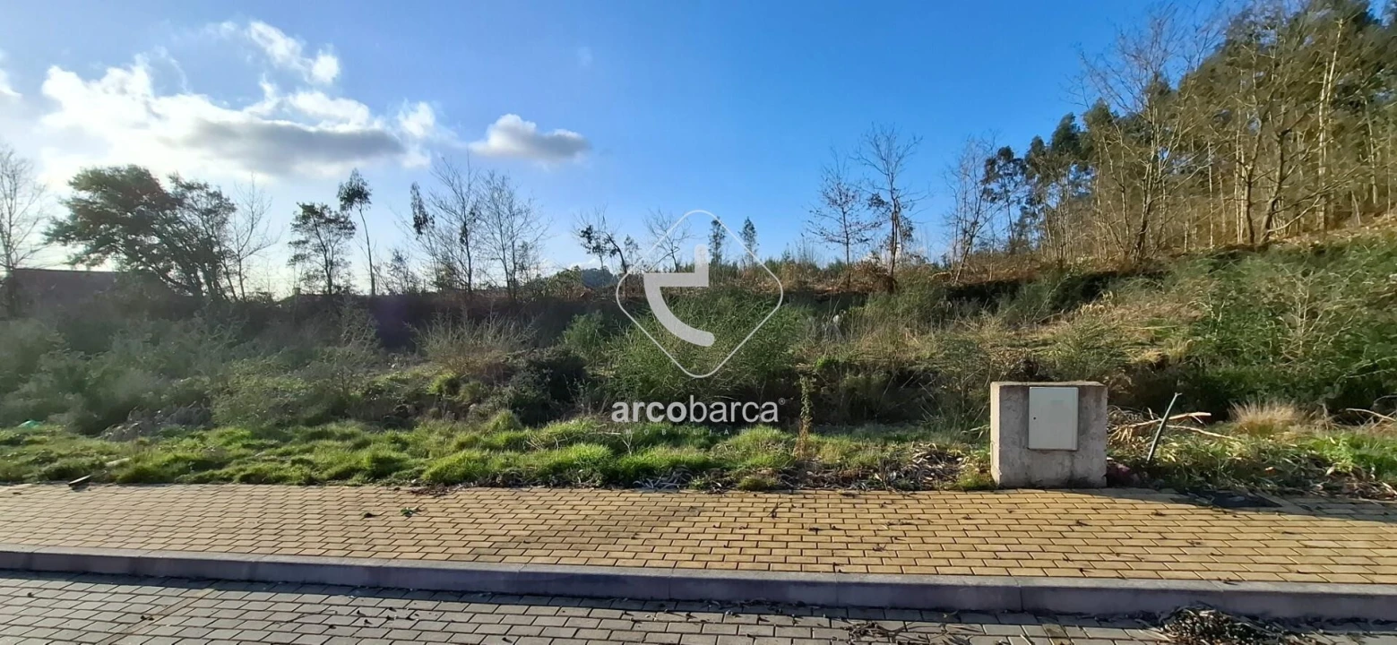 Terreno para Venda em Fornelos e Queijada Foto 6