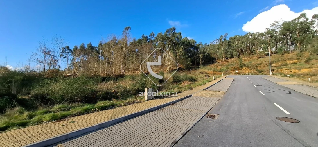 Terreno para Venda em Fornelos e Queijada Foto 4