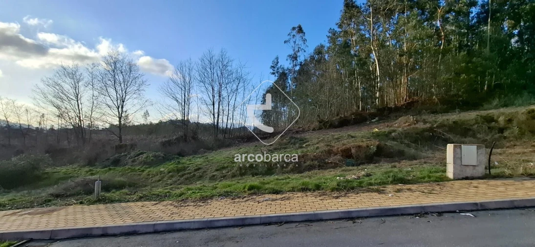 Terreno para Venda em Fornelos e Queijada Foto 8
