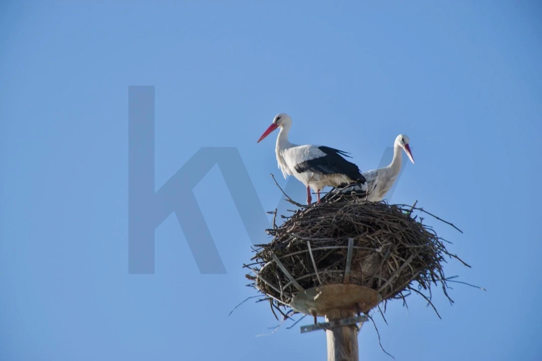 Apartamento T2 para Venda em Carvalhal Foto 21