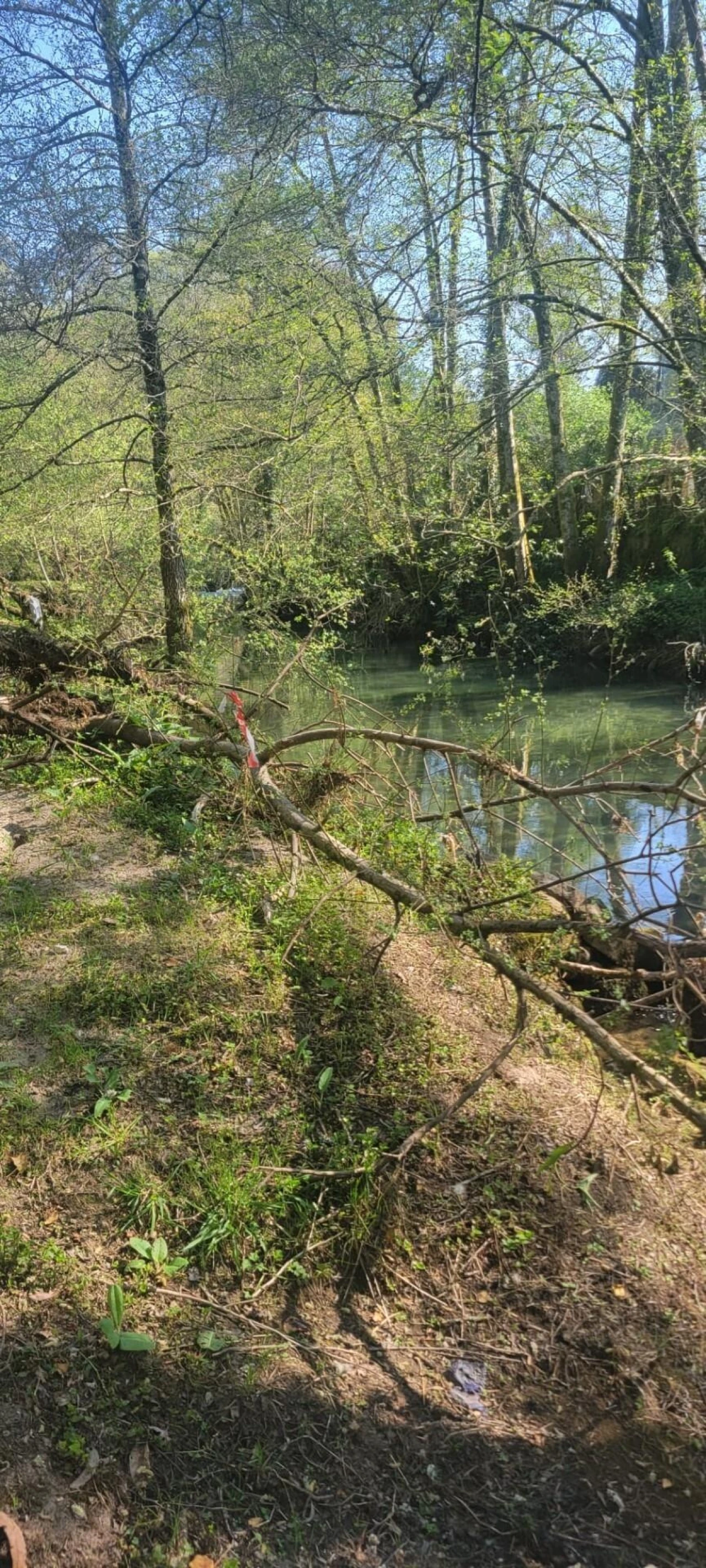 Quinta T1 para Venda em Formariz e Ferreira Foto 29