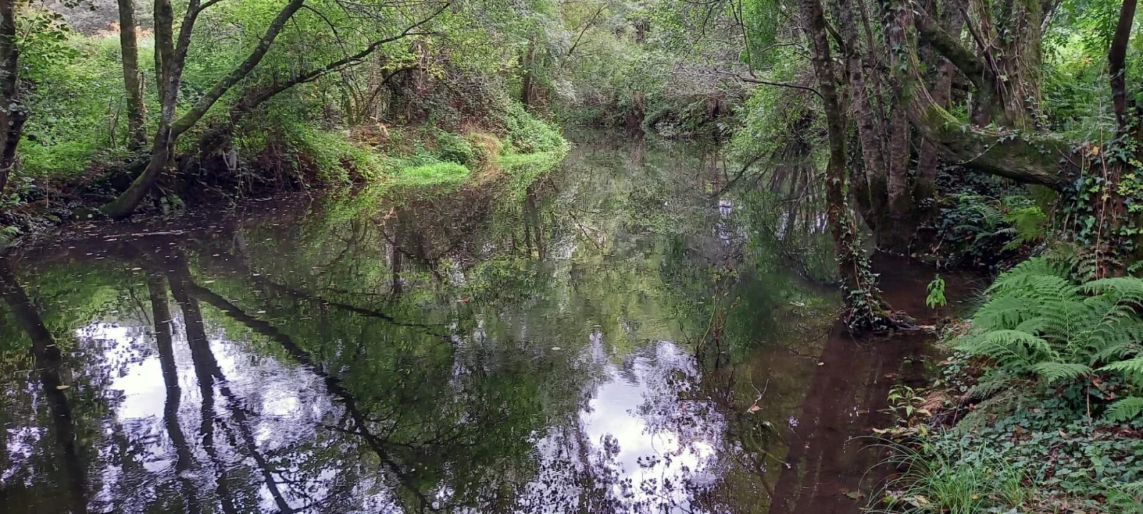 Quinta T1 para Venda em Formariz e Ferreira Foto 11