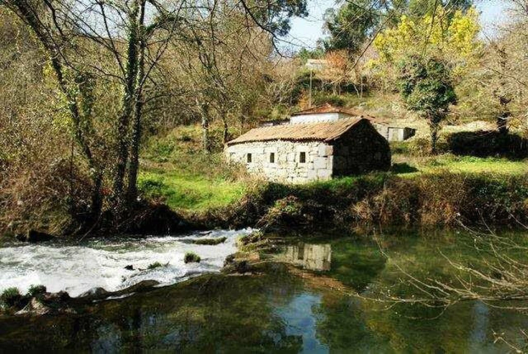 Quinta T1 para Venda em Formariz e Ferreira Foto 4