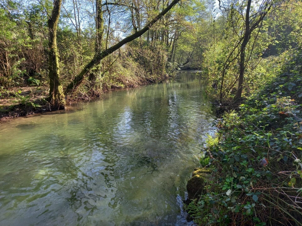 Quinta T1 para Venda em Formariz e Ferreira Foto 9