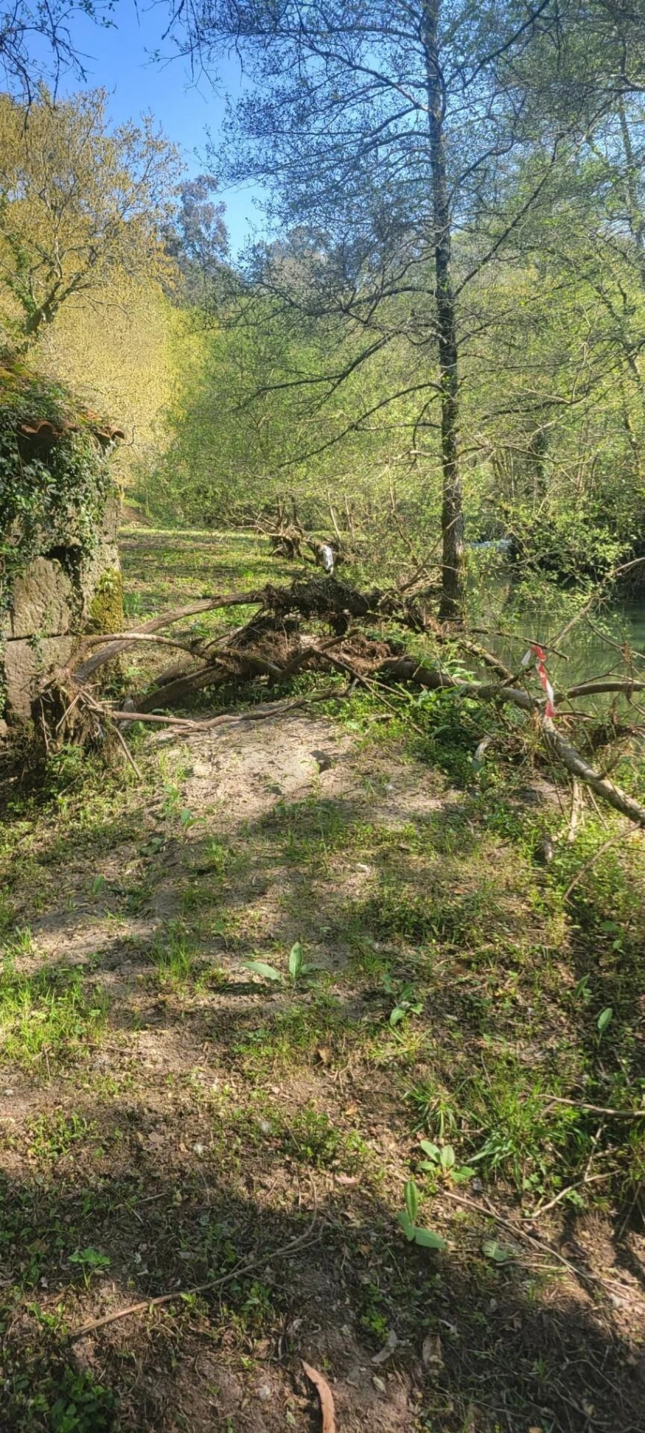 Quinta T1 para Venda em Formariz e Ferreira Foto 32
