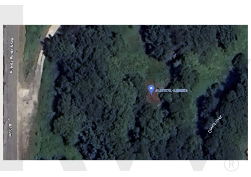 Quinta T1 para Venda em Formariz e Ferreira Foto 20