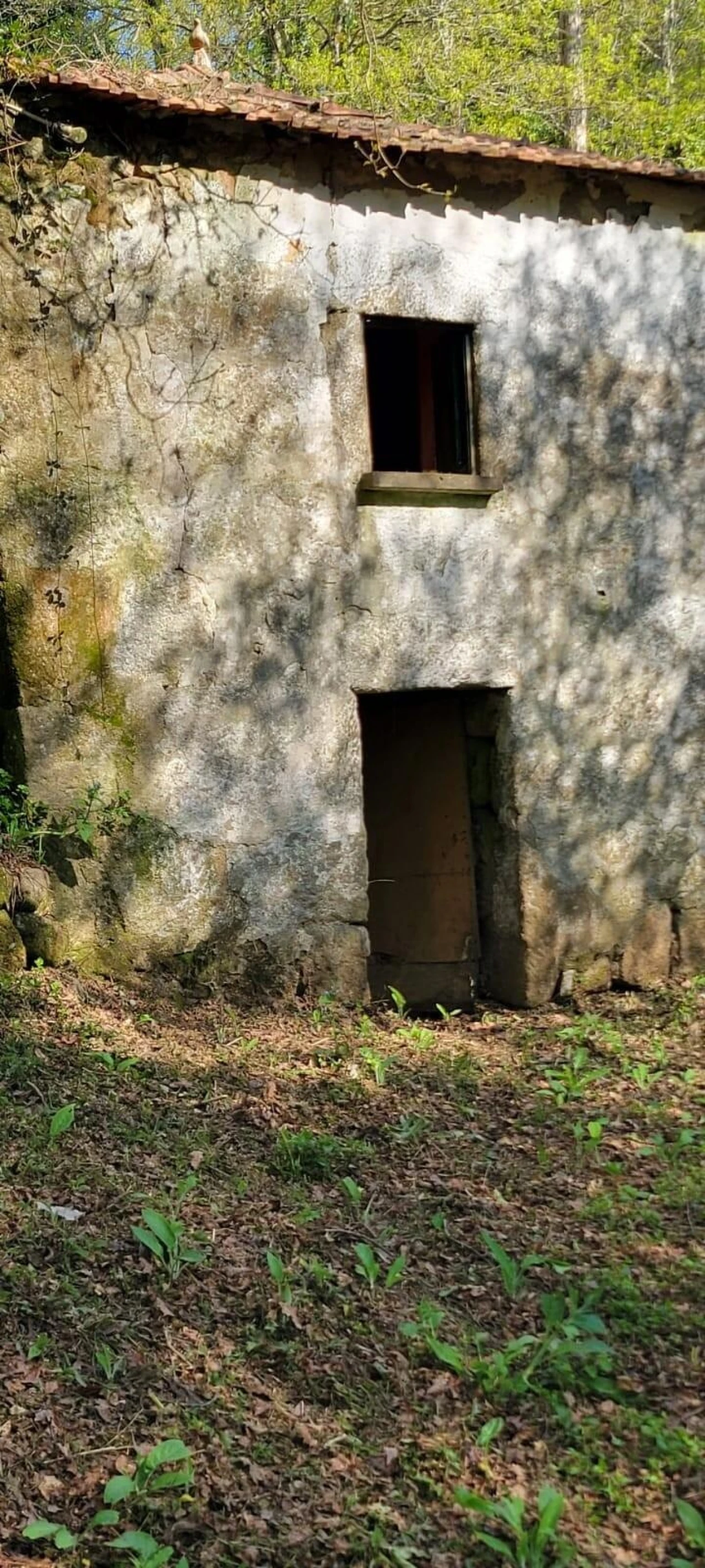 Quinta T1 para Venda em Formariz e Ferreira Foto 24