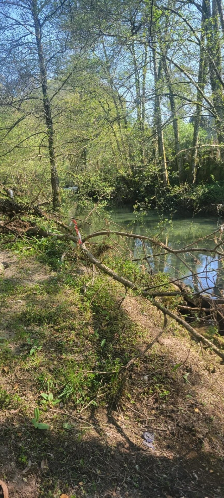 Quinta T1 para Venda em Formariz e Ferreira Foto 29